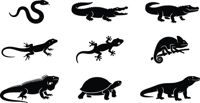 Reptile silhouettes vector illustration, flat design