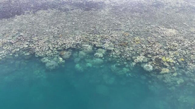 Aerial view of corals growing on a shallow, fringing reef in Fiji. This scenic region harbors high marine biodiversity and is a popular vacation destination for scuba divers and snorkelers.