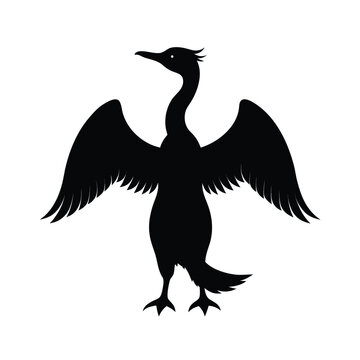 Majestic cormorant silhouette spreading wings for drying vector illustration for nature art