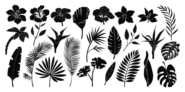 A collection of various tropical flower and leaf silhouettes arranged in a repeating pattern set