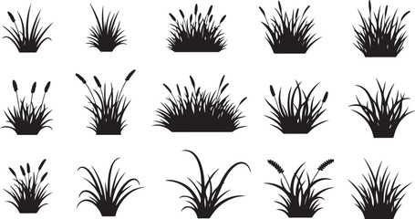 An artistic collection of various grasses and reeds is displayed in stark black forming a visually striking silhouette high quality professional detailed modern elegant stylish clean © Tahmina