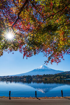 Mountain fuji with red maple in Autumn, Kawaguchiko Lake, Japan