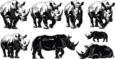 Rhinoceros silhouettes and detailed illustrations set, african safari animal rhino poses collection, wildlife vector icons isolated on white background. © Mehedi