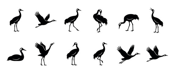 Obraz premium Set of crane bird silhouettes in various poses including standing, walking, flying, and preening, depicting elegant waterfowl.