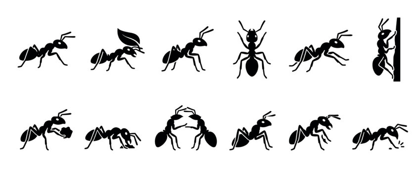 Ants insect colony worker silhouettes in various poses and activities illustrating their daily life and social behavior in a collection.