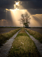 Fototapeta premium Albufera Natural Park in Valencia (Spain)