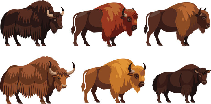 Bison and Buffalo Icon Set with Various Illustrations of Wild Buffalos in Different Coloration and Styles for Digital Media, Wildlife Projects, and Animal Design