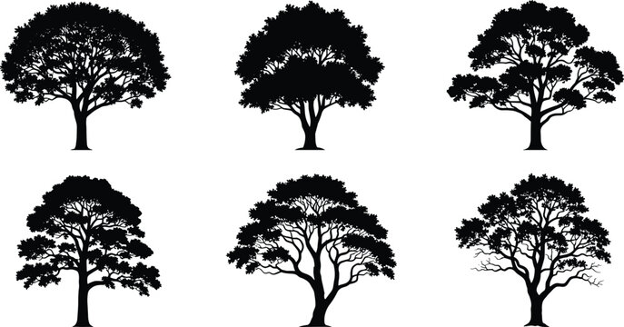 Simplicite Tree