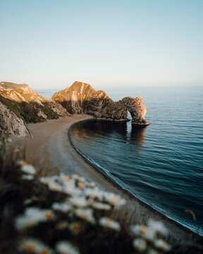 View of Durdle Door's majestic arch meets the tranquil sea, a sun-kissed beach curves gently, framed by wildflowers in golden light, Wareham, dorset, United Kingdom.