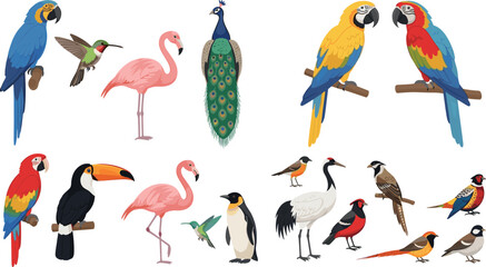Naklejka premium Exotic Bird Collection Illustration Featuring Parrots, Flamingos, Toucan, Peacock, Penguin, Crane, and Colorful Wild Birds in Flat Cartoon Style