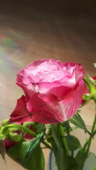 miłość © Gabriela