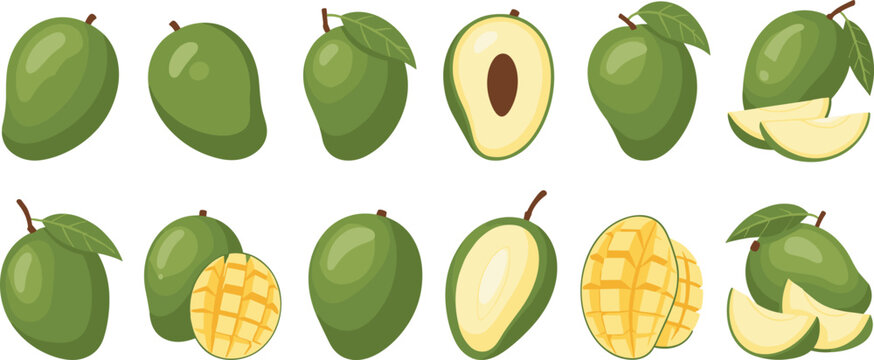 Green Mango Vector Set with Whole Sliced Cubed and Halved Tropical Fruits Isolated on White Background for Fresh Food Design and Packaging