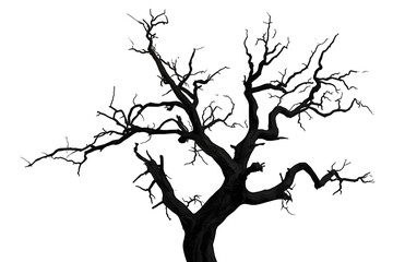 Fototapeta premium Dead tree silhouette with gnarled branches on transparent background, symbolizing fear, horror, and decay