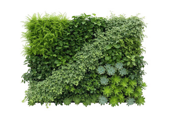 Obraz premium Lush vertical garden wall panel featuring a diverse collection of green foliage and succulents