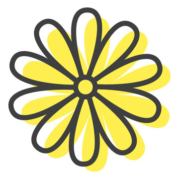 Flower inflorescence margarite