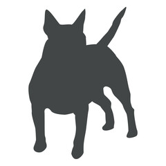 Fototapeta premium Dog silhouette boxer