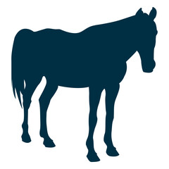 Obraz premium Horse still silhouette