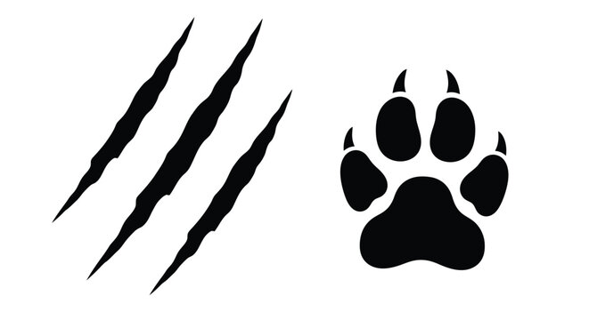 Black silhouette of claw marks and a paw print on a white background
