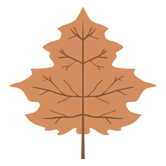 Fototapeta premium Isolated brown autumn leaf