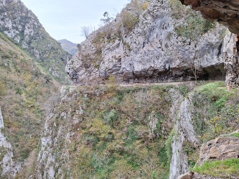 Camino 