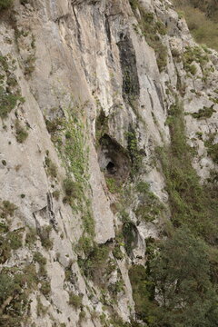 Cueva