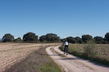 Obraz premium Cyclist rides on a dirt road surrounded by fields and trees in a clear sky during a sunny day