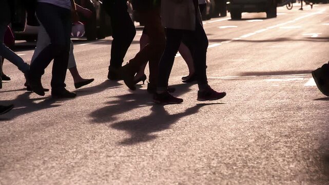 Pedestrians in a Crosswalk. A crowd of people crossing the street at a pedestrian crossing in the backlit sunlight