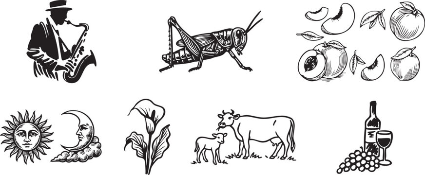 Vintage Hand Drawn Clipart Set &ndash; Nature, Musician, Insect, Fruits, Animals Line Art Collection