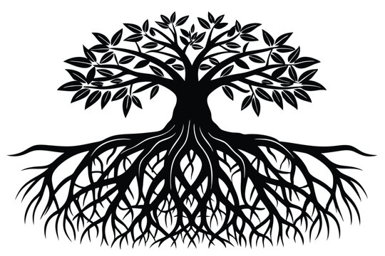intricate mangrove tree roots silhouette line art vector illustration
