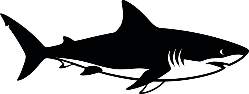 Black silhouette of a white shark ocean