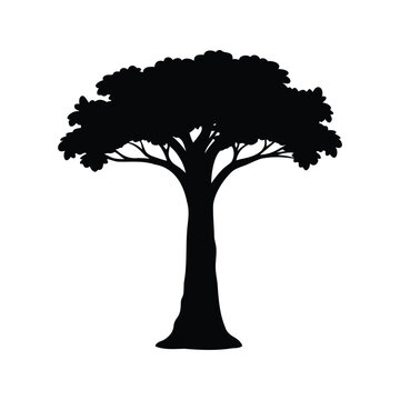 Silhouette of a large tree with wide branches and dense foliage, vector illustration, jungle tree trunk silhouette vector illustration