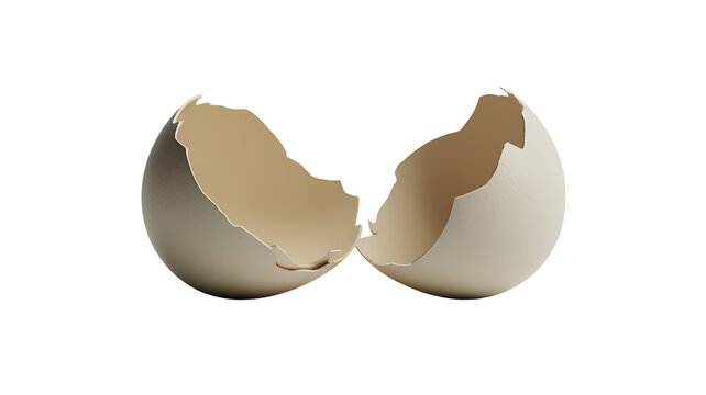 Broken eggshell isolated on transparent background