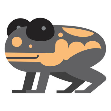 Poison dart frog illustration