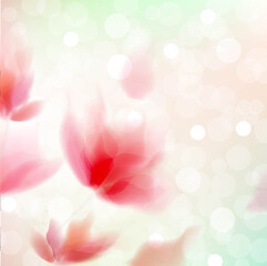 Fototapeta premium Abstract Flowers Isolated White Background