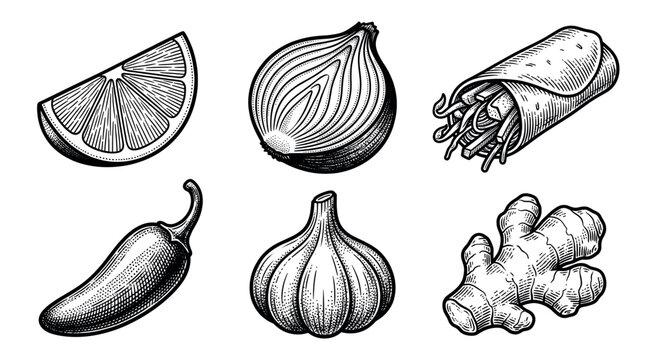 A set of food ingredients in a vintage engraving style. Includes lime, onion, burrito, chili, garlic, ginger. Perfect vector icons for menus, recipes or food packaging.