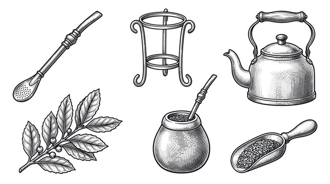 A vintage engraving set of traditional Yerba Mate tea ceremony elements. Includes calabash, bombilla, kettle, and leaves. Perfect for packaging, menus, and cultural designs.