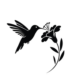 Obraz premium Black silhouette of hummingbird feeding on flower vector illustration EPS PNG file