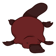 Fototapeta premium Duckbill platypus beak leg tail illustration