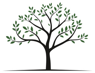 Obraz premium Stylized Green Leaf Tree Silhouette Vector Illustration