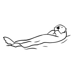 Obraz premium Sea otter muzzle swimming sketch