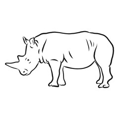 Fototapeta premium Rhinoceros horn rhino sketch