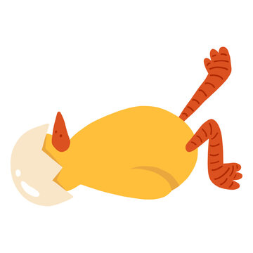 Chicken beak shell flat