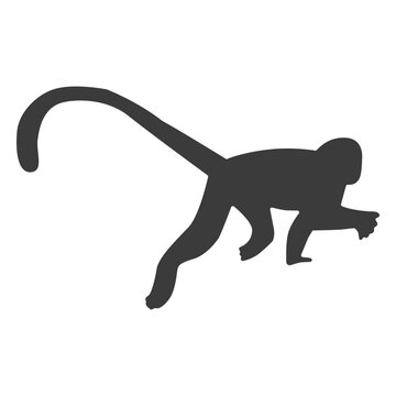 Monkey leg tail silhouette