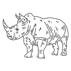 Obraz premium Rhino rhinoceros horn fat line