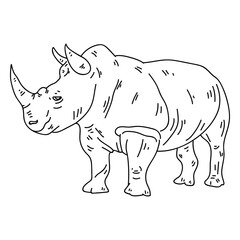 Fototapeta premium Rhino rhinoceros horn fat stroke