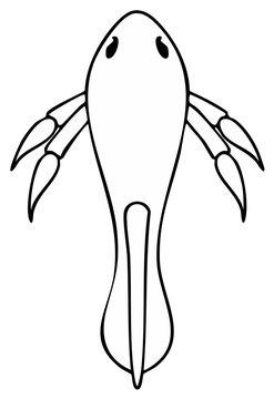Minimalist line art illustration of a prehistoric eurypterid sea scorpion fossil