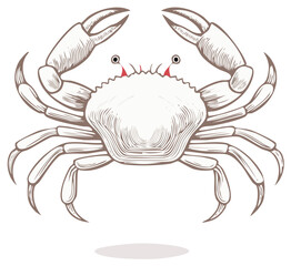 Obraz premium Illustration of a crab with intricate linework and details, artistic style.
