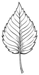 Fototapeta premium Detailed black and white illustration of a leaf with prominent veins and edges.