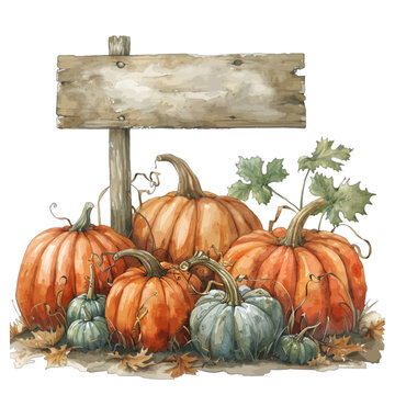 Watercolor illustration of a rustic wooden sign in a pumpkin patch with orange and blue pumpkins and autumn leaves, isolated on white background for harvest events.