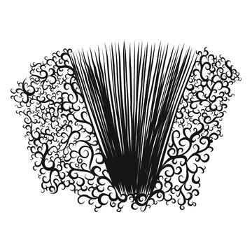 Accordion musical instrument swirl